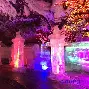 包含水晶宫收获连胜反弹艰难保级前景斑斓的词条