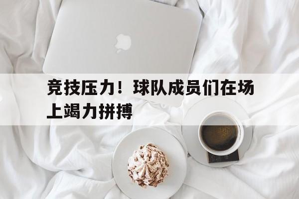 竞技压力！球队成员们在场上竭力拼搏的简单介绍